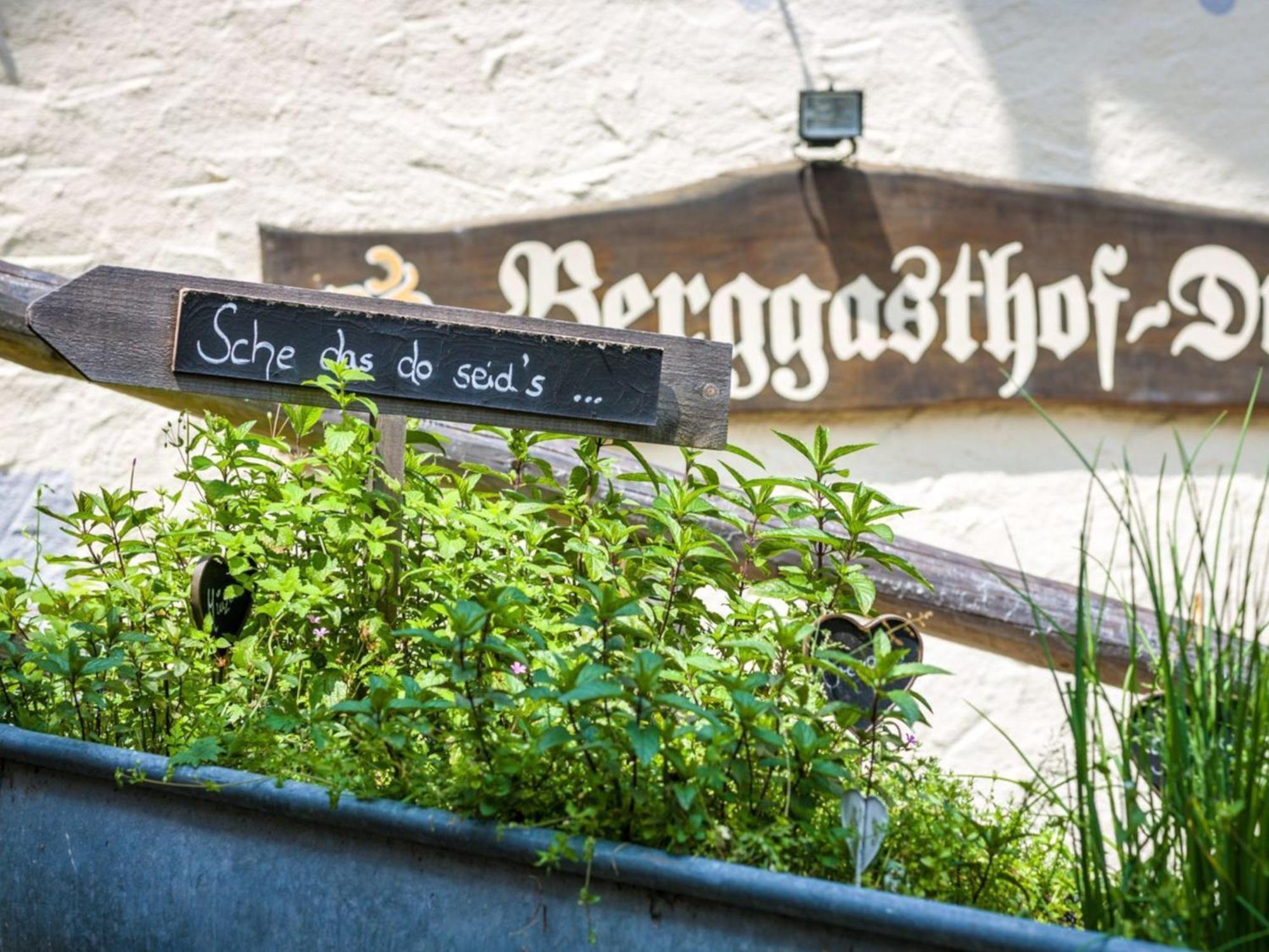 Berggasthof Hotel Duftbraeu I Ruhige Alleinlage I Mitten Im Gruenen ซาแมร์แบร์ก ภายนอก รูปภาพ