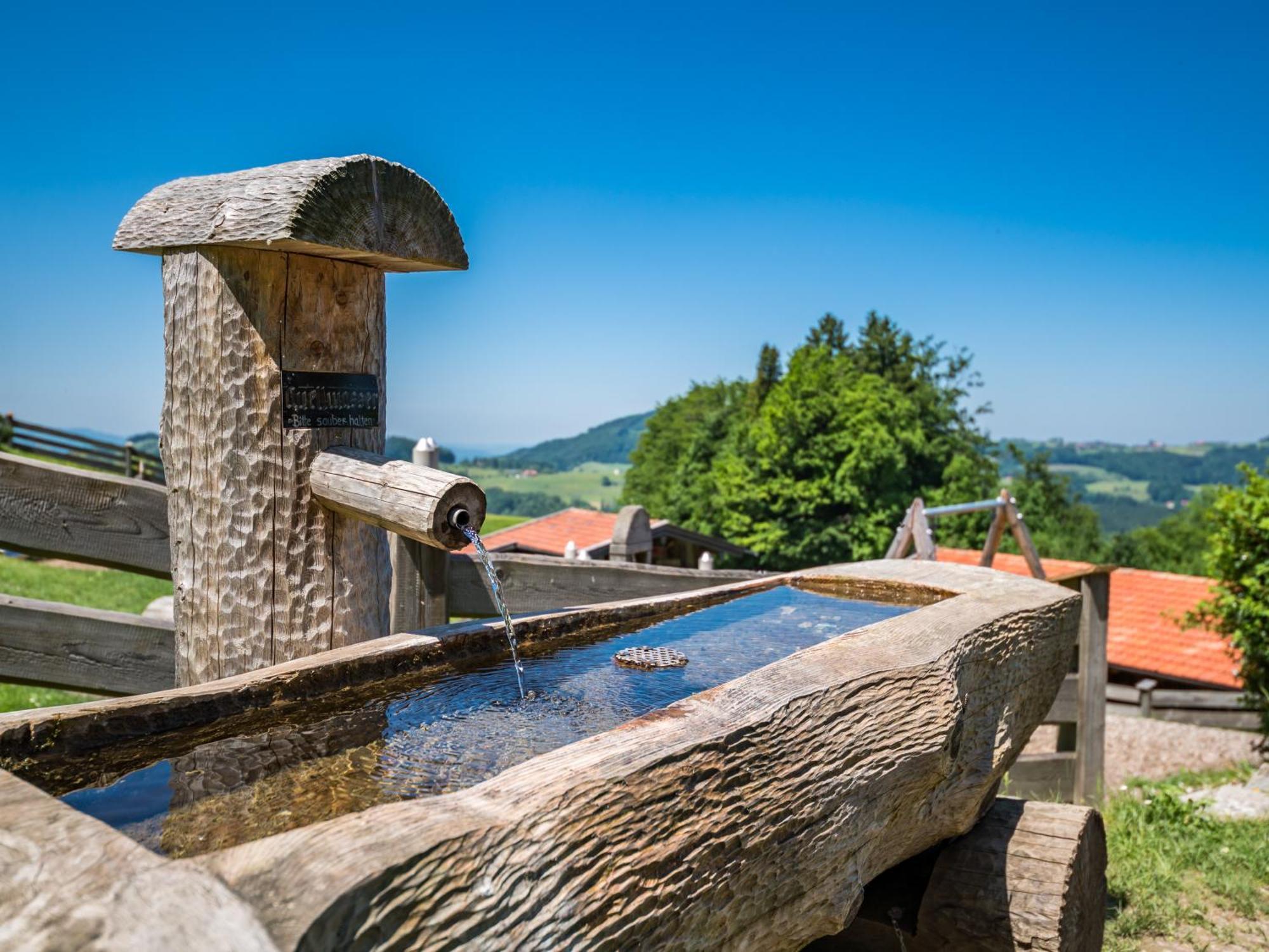 Berggasthof Hotel Duftbraeu I Ruhige Alleinlage I Mitten Im Gruenen ซาแมร์แบร์ก ภายนอก รูปภาพ